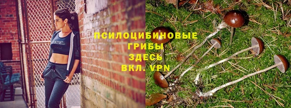 MDMA Арсеньев