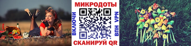 как найти   Тарко-Сале  Галлюциногенные грибы мицелий 